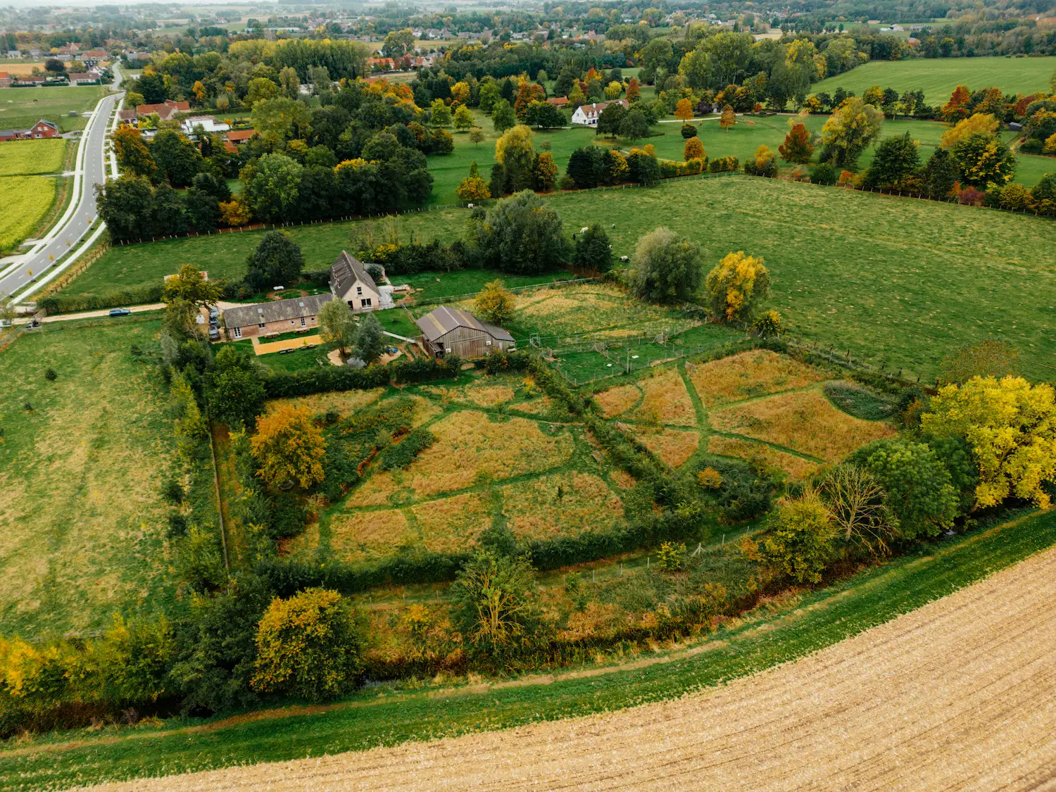 HONDENHOTEL FOTO (2)